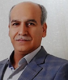 Speaker at  Nursing World Conference 2022 - Ali Delshad Noghabi