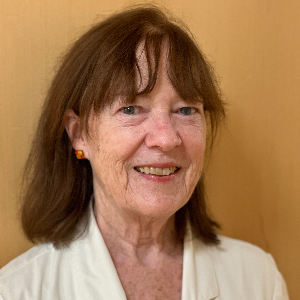 Speaker at Nursing Conferences - Patricia M Rabbett